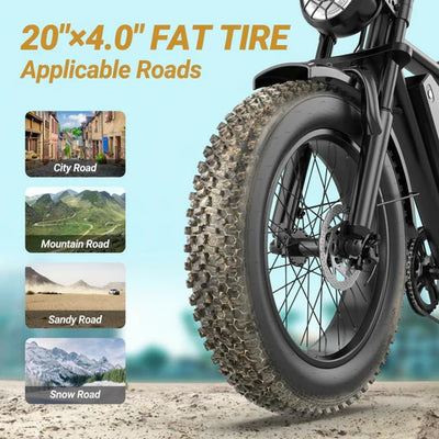 Voltvogue E-Bike