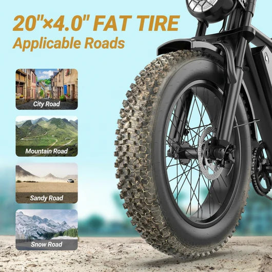 Voltvogue E-Bike